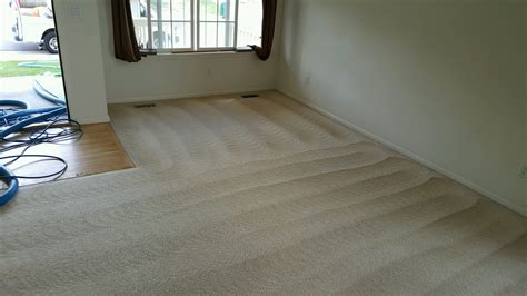 carpet cleaner castle rock co|Top 10 Best Carpet Cleaner in Castle Rock, CO